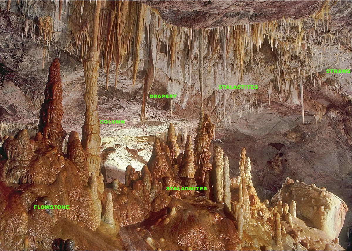 Newly Unveiled Federal Cave System Vows to Tackle Healthcare Crisis