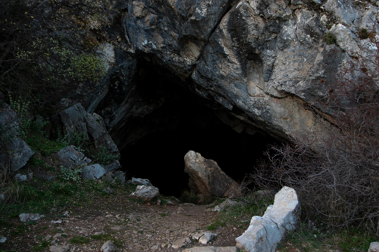 Newly Unveiled Federal Cave System Vows to Tackle Healthcare Crisis