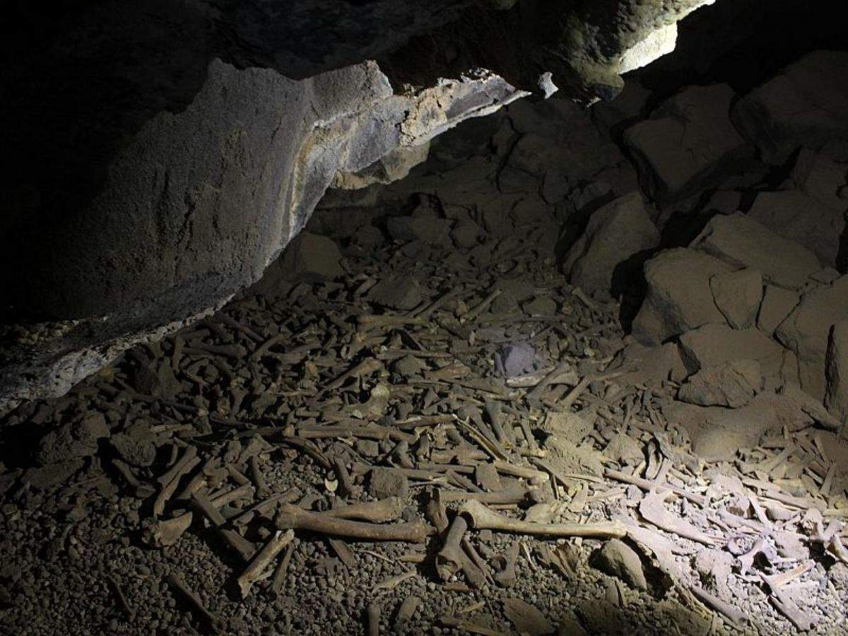 Newly Unveiled Federal Cave System Vows to Tackle Healthcare Crisis